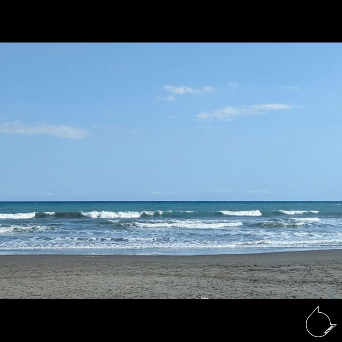 静岡の春 静岡の春